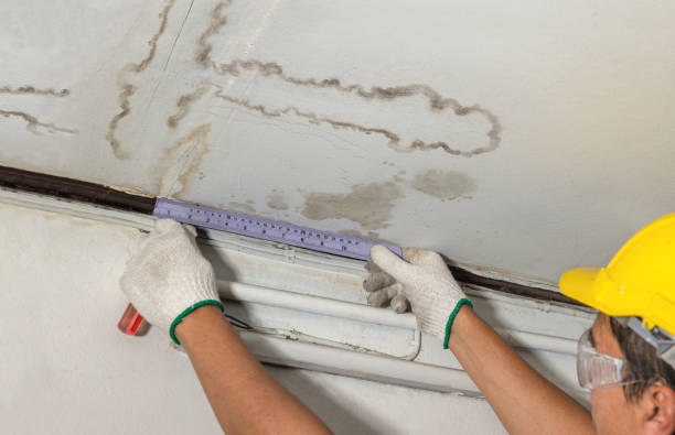 Affordable Structural Drying solutions in Midlothian, VA